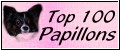 top100papillons